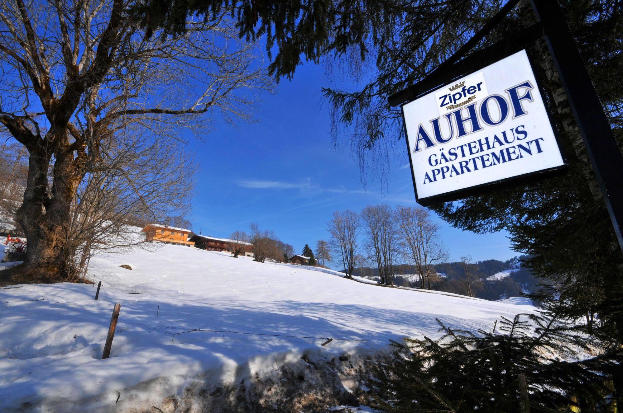 Auhof Apartments Niederau Exterior photo